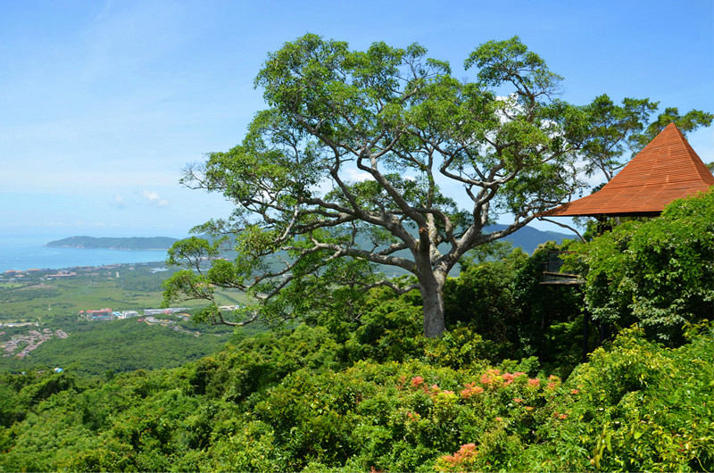 ??(三亞)? ?? ???, '?????????'