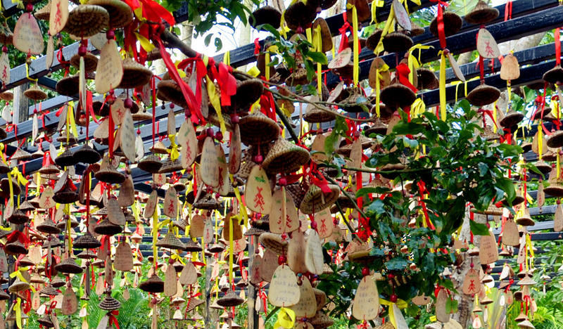 ??(三亞)? ?? ???,'???(呀諾達) ????'