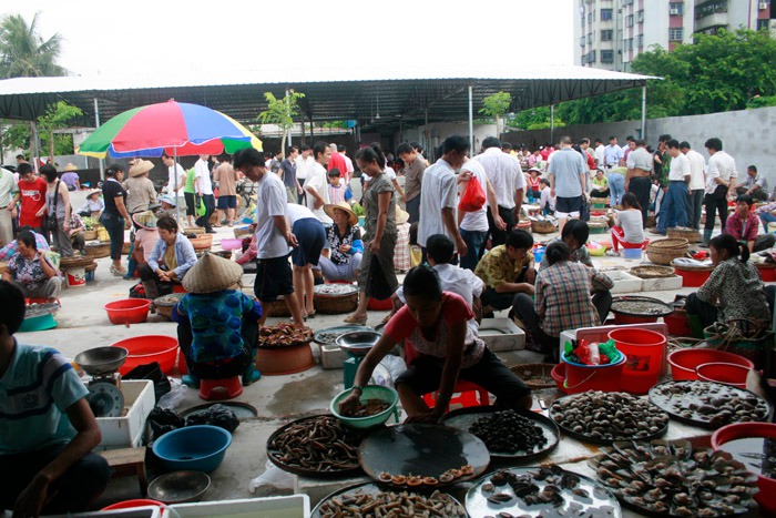 ???(海南) ?? 4? ?? ??, ?? ???? ??? 6? ?? 