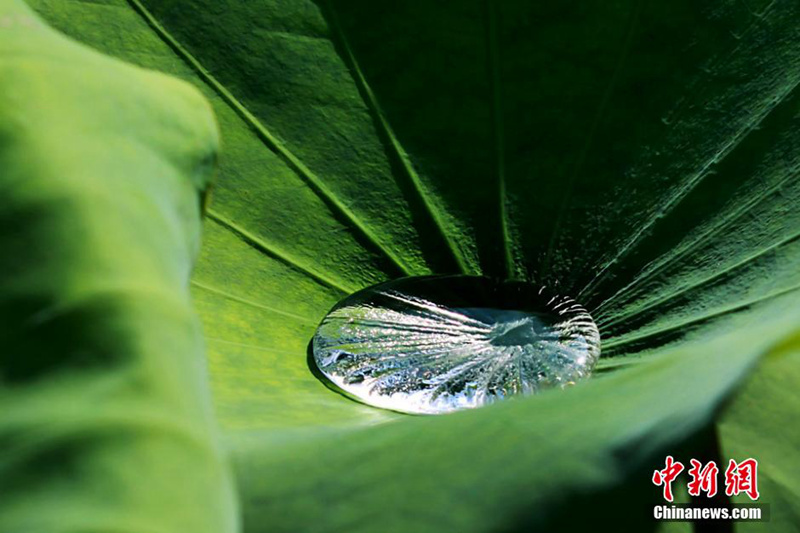 ?? ??? ?? ??…??? ??? ? ??? ??