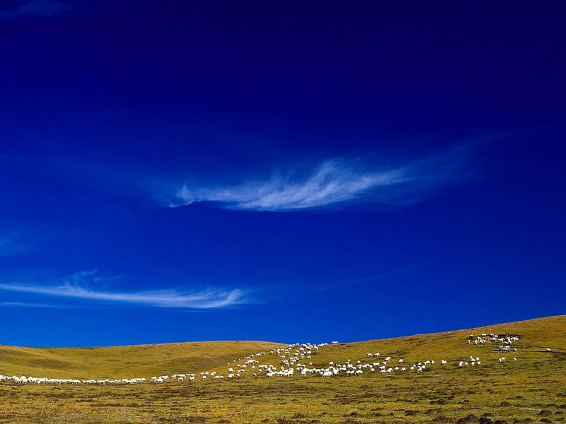 ?? ?? ?????? ??, ???? ?? ??