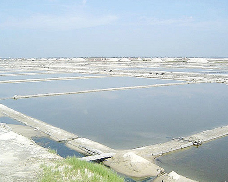 ?????(海南島)? ??(鶯歌) ???? ??? ???? ?? ?? ??? ??? ???.