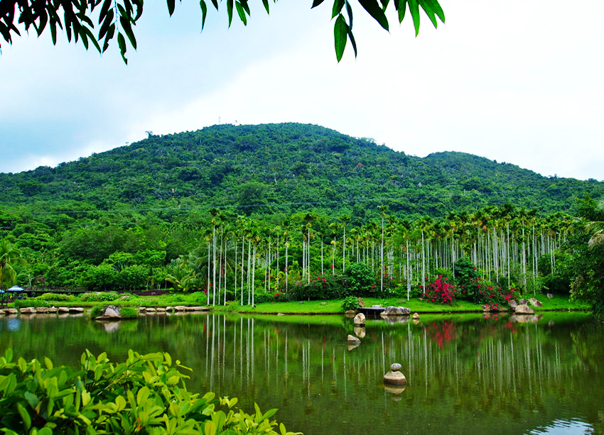 ???(呀諾達(dá)) ????