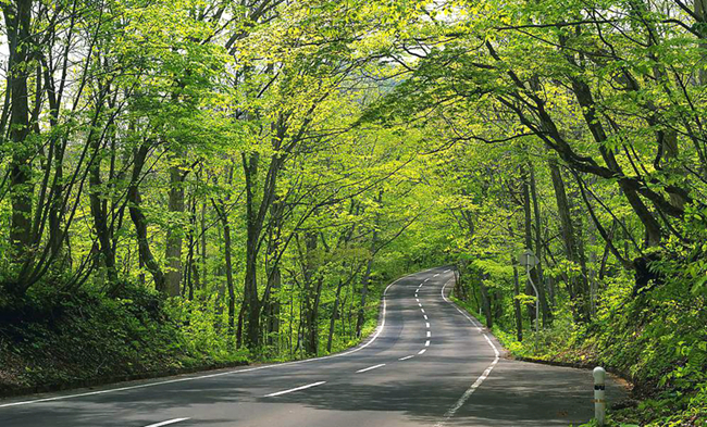 ????(海口)??? ?? ?????(?？? ??? ???? ??(興隆) ??, ?? ??, ?? ?? ?? ??? ? ???, ?????? ??. ?? ???? ?? ??? ??? ??? ??? ??? ??? ??.??? ???? ?? ???? ???? ??? ??? ???? ???... [???] 