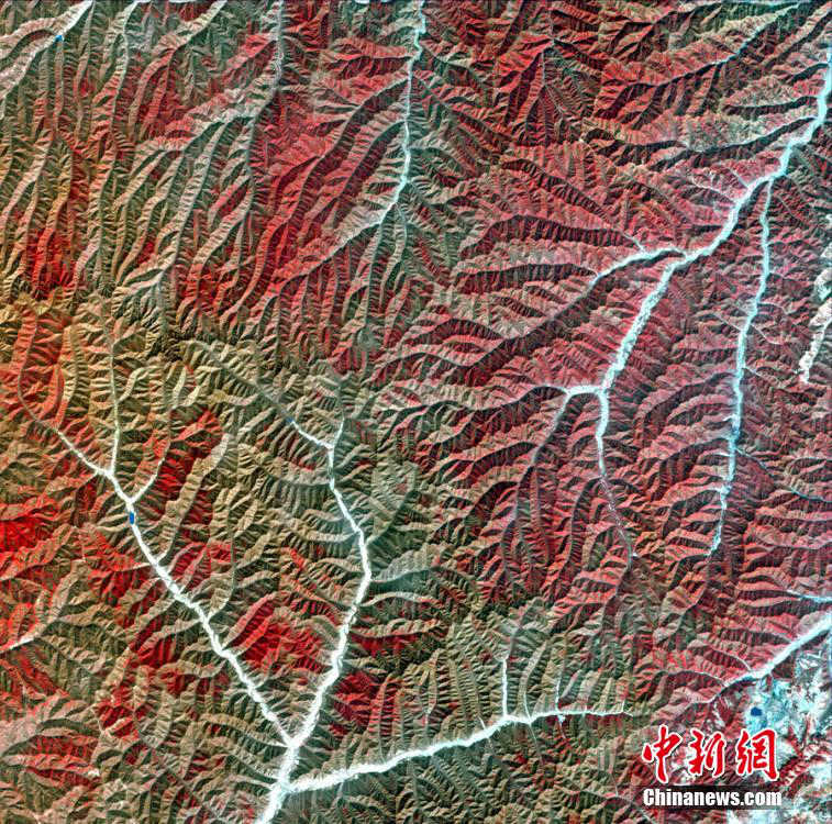 中, ??? ???? ‘???1?’ ?? ??