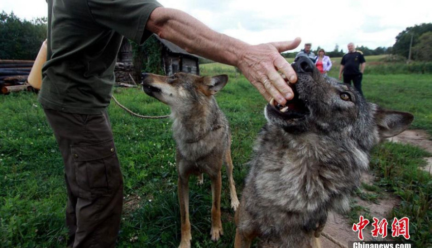 ?? ??? ??…10? ???? ‘??’ ?? ??