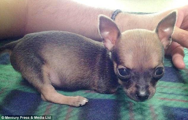 ?? ?? ???…?? ???? ?? ?