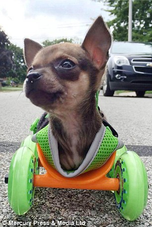 ?? ?? ???…?? ???? ?? ?