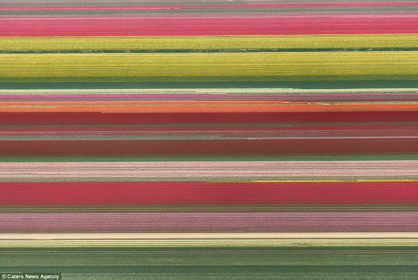 ???? ?? ????, ??? ??? ??? ??