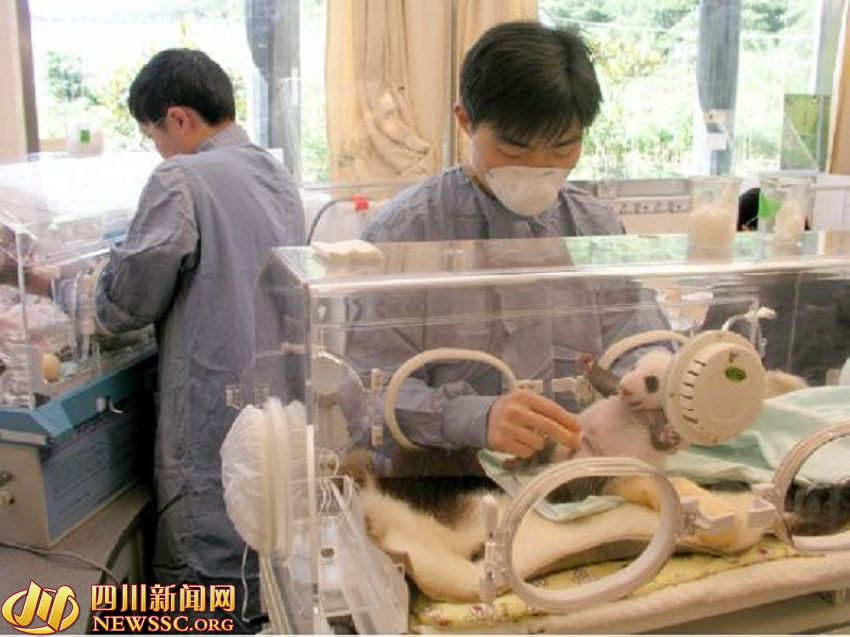 ???? ?? ???? ????: ?? ?? ??? 1/993? ??