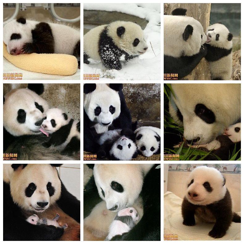 ???? ?? ???? ????: ?? ?? ??? 1/993? ??