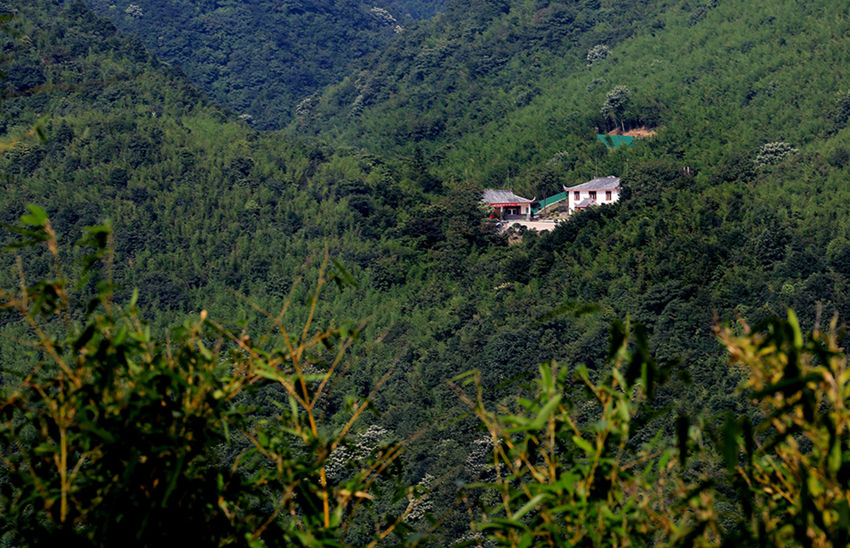 ?? ?? 2??, ??? ???? ?? 中  