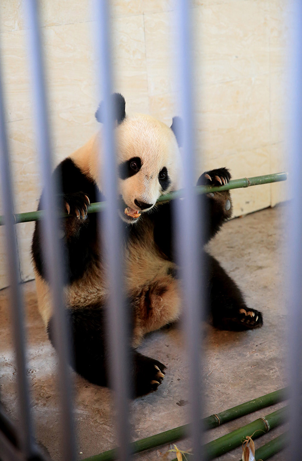 ?? ?? 2??, ??? ???? ?? 中  