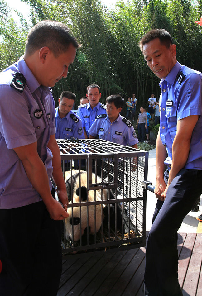 ?? ?? 2??, ??? ???? ?? 中  