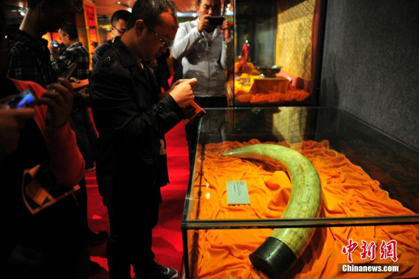 ?? ?????? ?? ??? ????? ??? ??? ??