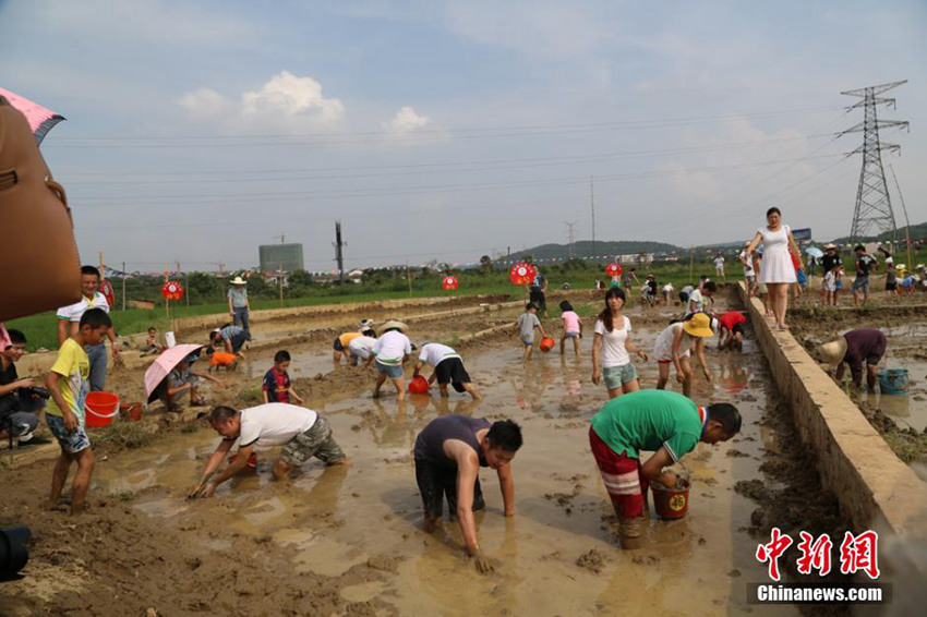 ??? ??? ‘???? ??’??? ? ??