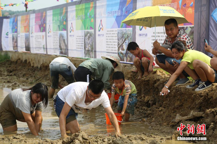 ??? ??? ‘???? ??’??? ? ??