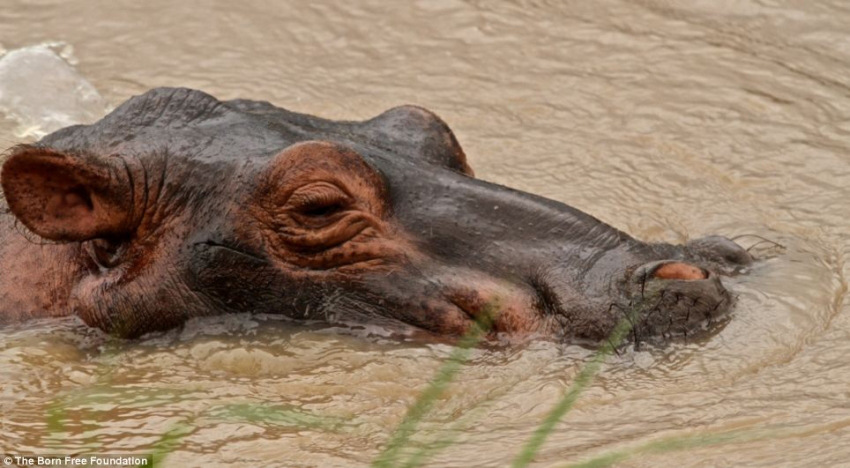 ??? ?? ??, ??? ??? ??? ?? 