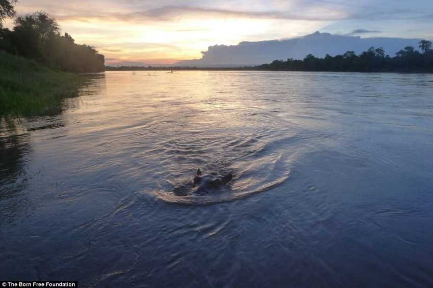 ??? ?? ??, ??? ??? ??? ?? 