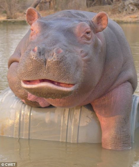 ??? ?? ??, ??? ??? ??? ?? 