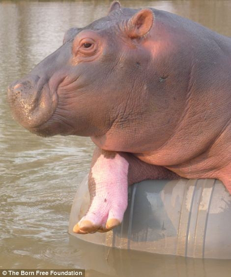 ??? ?? ??, ??? ??? ??? ?? 