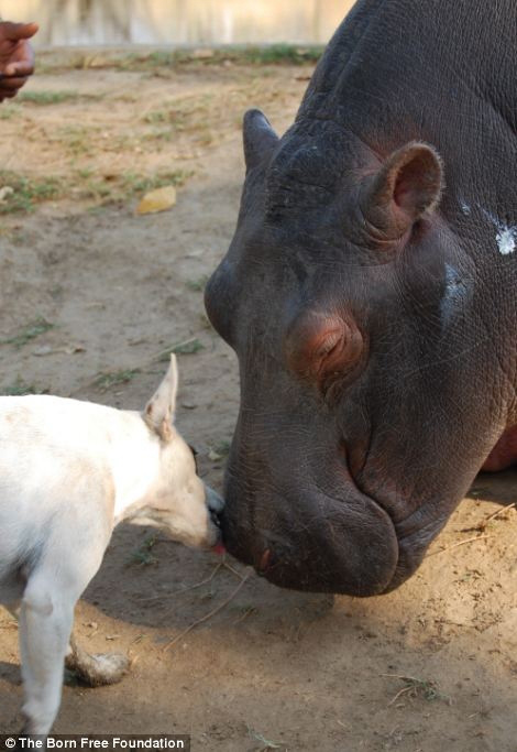 ??? ?? ??, ??? ??? ??? ?? 