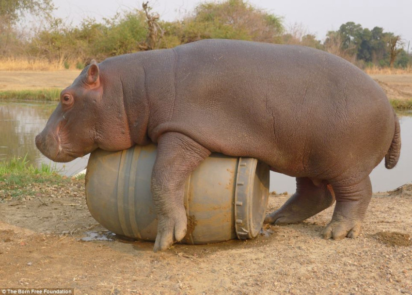 ??? ?? ??, ??? ??? ??? ?? 