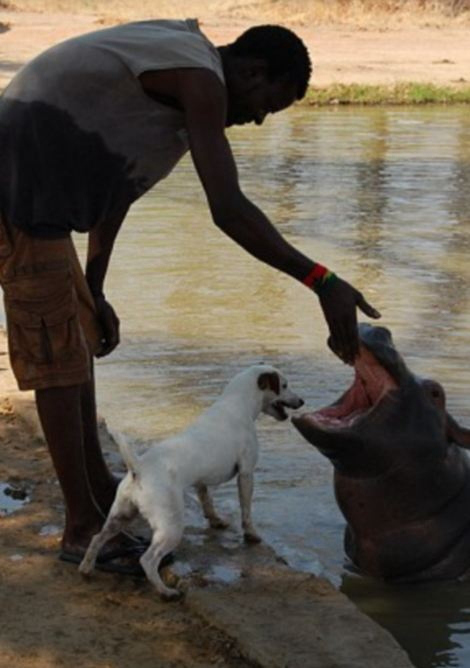 ??? ?? ??, ??? ??? ??? ?? 