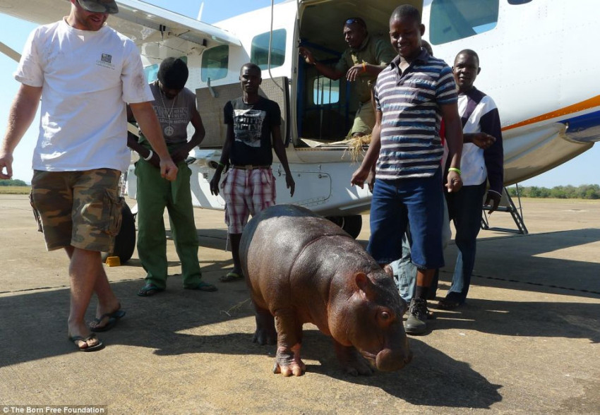 ??? ?? ??, ??? ??? ??? ?? 