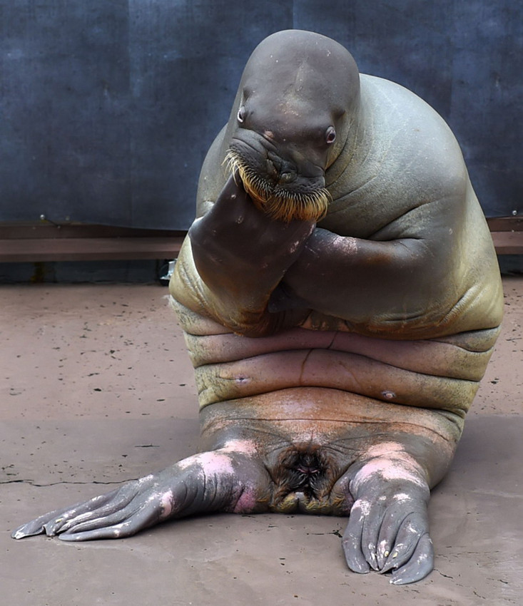 ?? ???? ‘???’ ?????, ‘???? ??’ ??