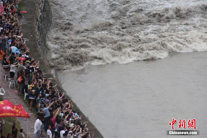 ??? 4?來 ?? ?? ??? ??? 13? 8? ? ??