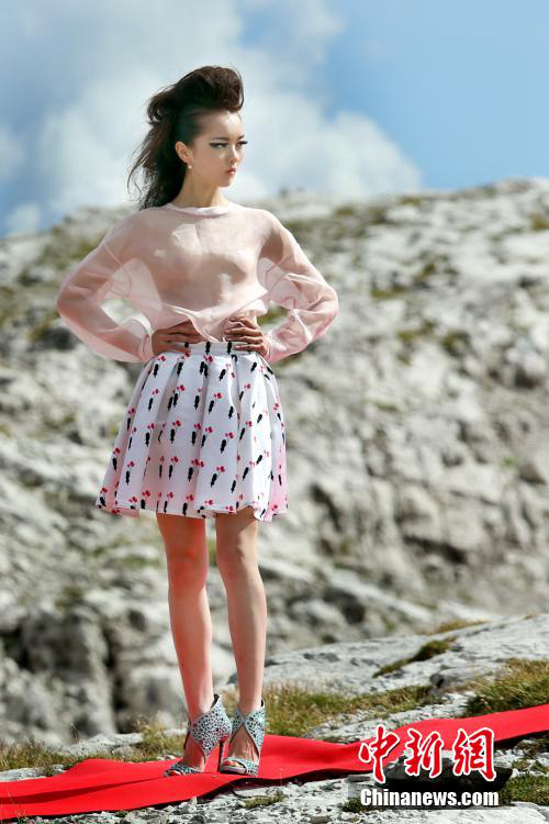 ?? ?? 12cm ? ?? ??? ??? ??? ?