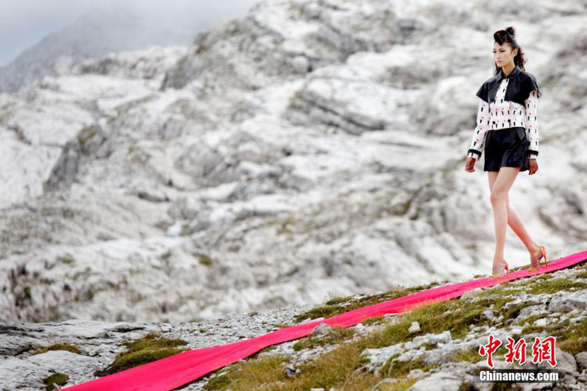 ?? ?? 12cm ? ?? ??? ??? ??? ?