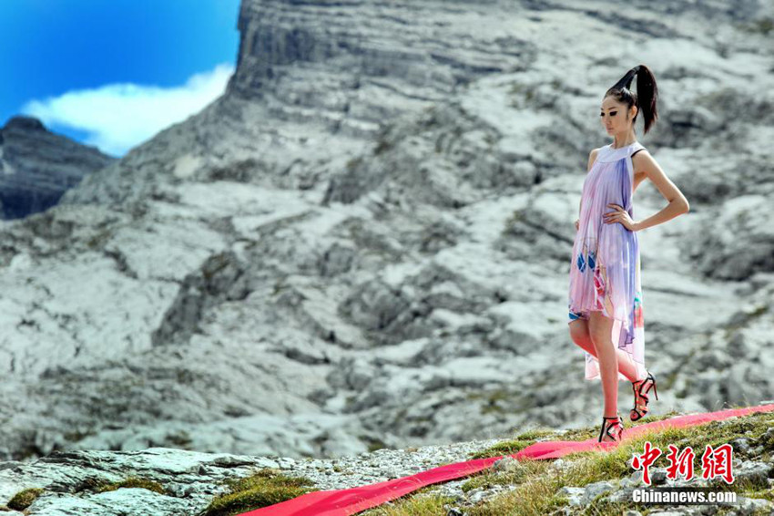 ?? ?? 12cm ? ?? ??? ??? ??? ?