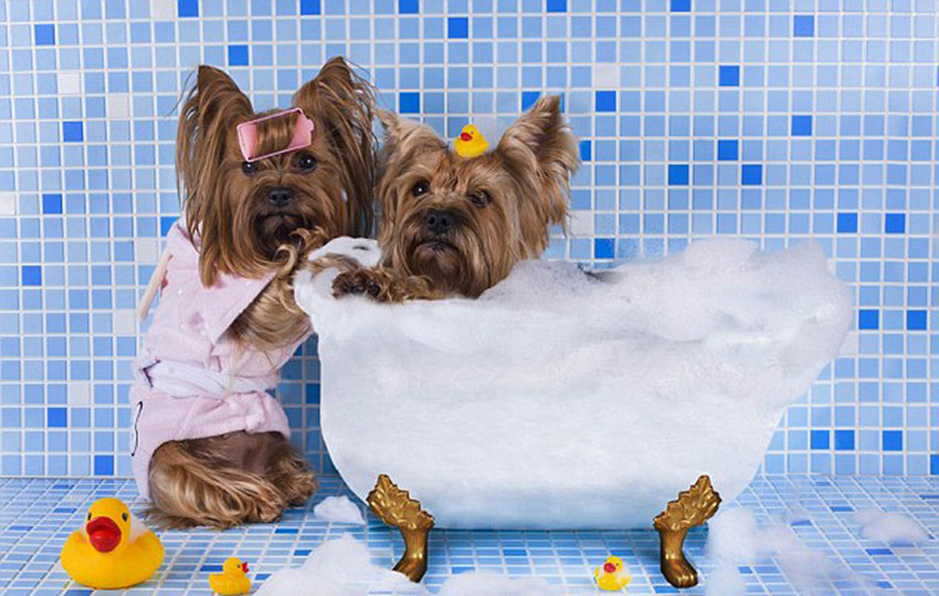 ????? ????? ??? ??? ?? ?? ??