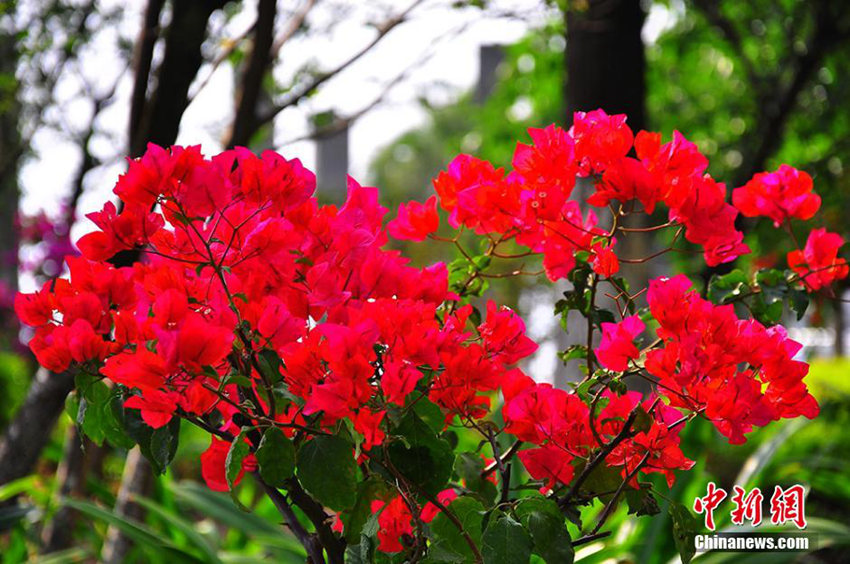 ?? ???? ???? ?? ??, ??? ??? ??