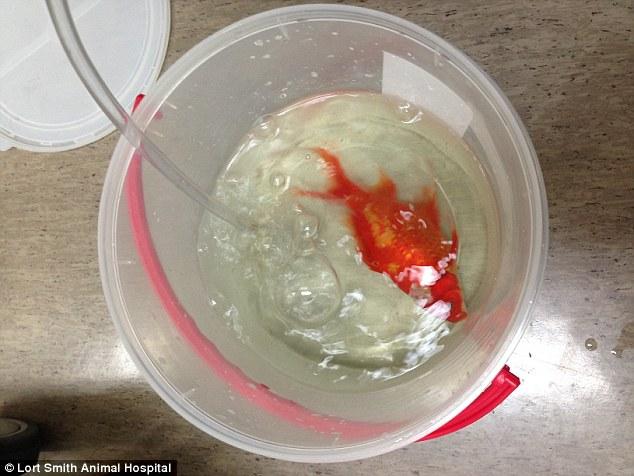 ?? ????? ??? ?? ?? 10? ??? ??