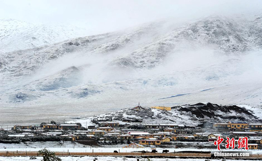 ??? ?? ?? ?? ???, ?? ?? ???