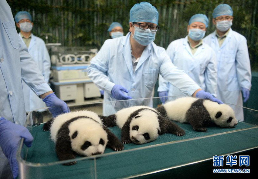 ?? ??? ?? ???? ???? ??, ?? ?? ??