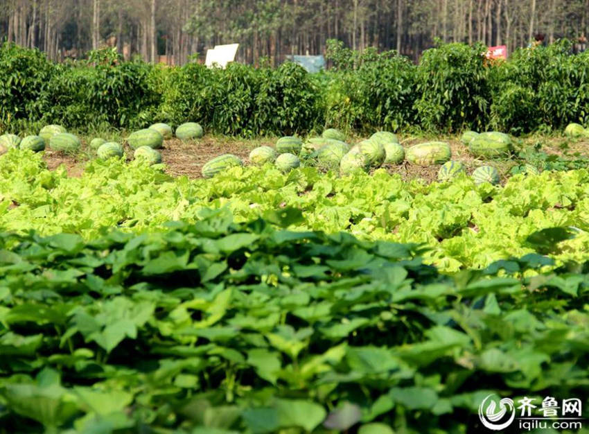 ?? ?? ‘?? ??’, ? ??? 52? ??