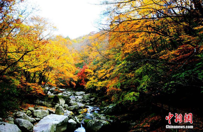 ??? ????? ??, ?? ?? ???? ??!