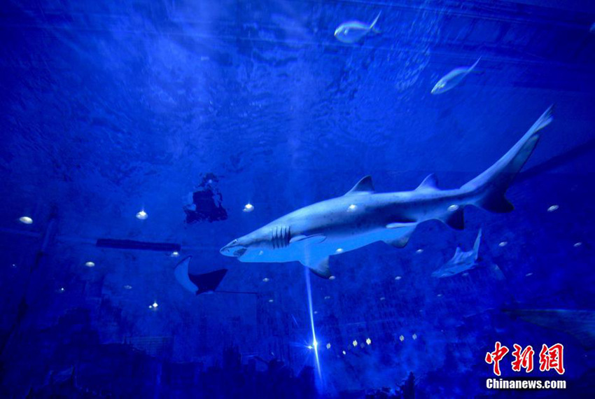 ??? ??? ?? ?? ?? ??, ??? ??