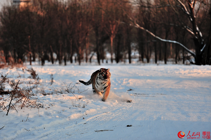 ?????, ????? ?? ???? ??