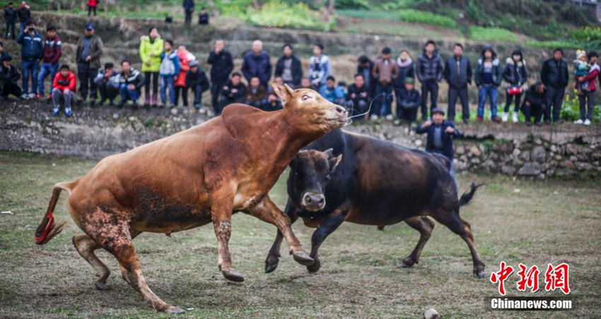 ???? ?? ???? ??? ?? ?? ?? ???