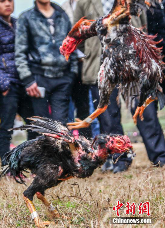 ???? ?? ???? ??? ?? ?? ?? ???