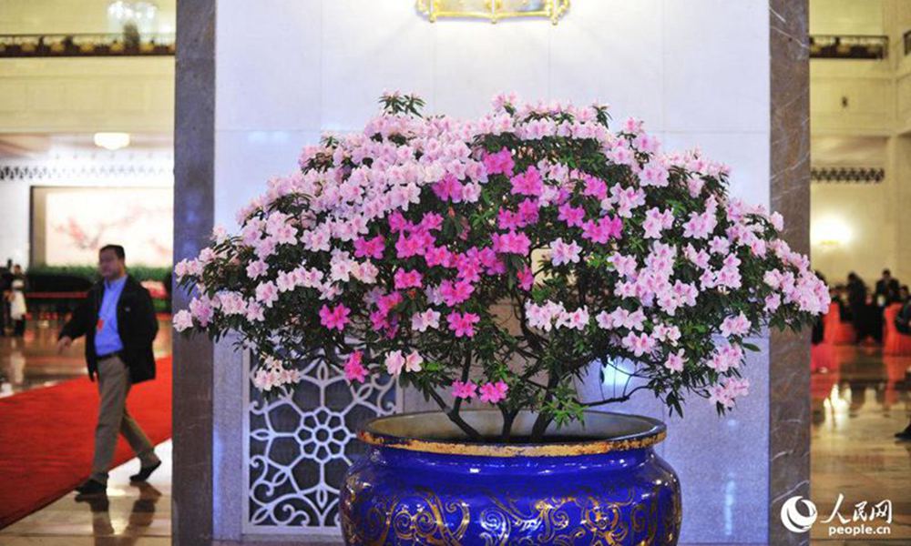 2015? 3? 8? ???, ??(兩會(huì)) ?? ????? ??? ???? ? ???? ????.