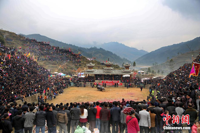 ???? ?? ??? ?? ??, ??? ??