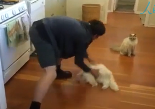 ???? ??? ???? ???? ??? 