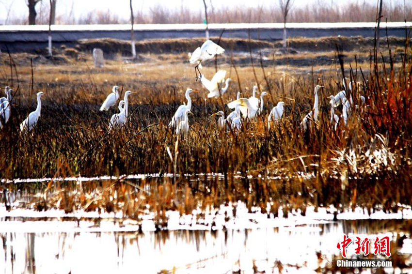 ?? ??? ??? ?? ‘??? ????’