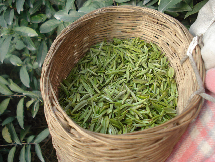 ??? ???? 7? ??, ??? ??? ?? ?? ?